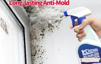 material anti jamur rumah