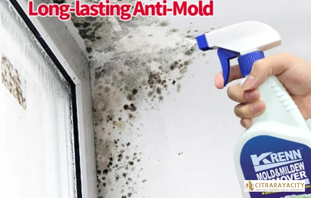 material anti jamur rumah