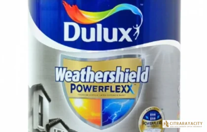 cat tembok anti jamur